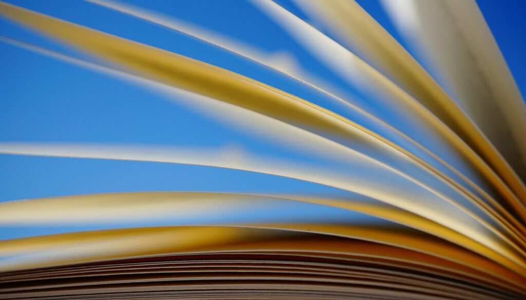 a book pages scroll paper 6213537
