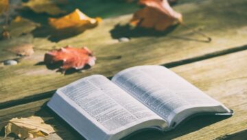 bible book pages open reading 1868070