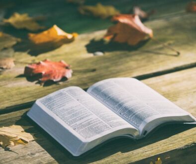 bible book pages open reading 1868070