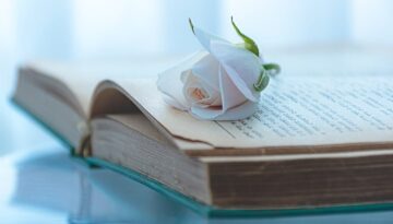 book flower botany bloom rose 7056703