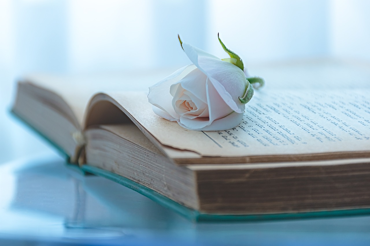book flower botany bloom rose 7056703