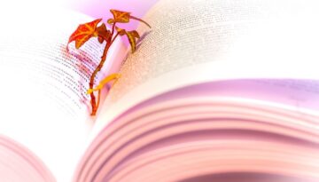 book reading read literature 3026883