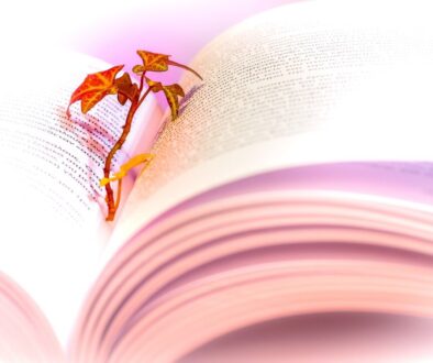 book reading read literature 3026883