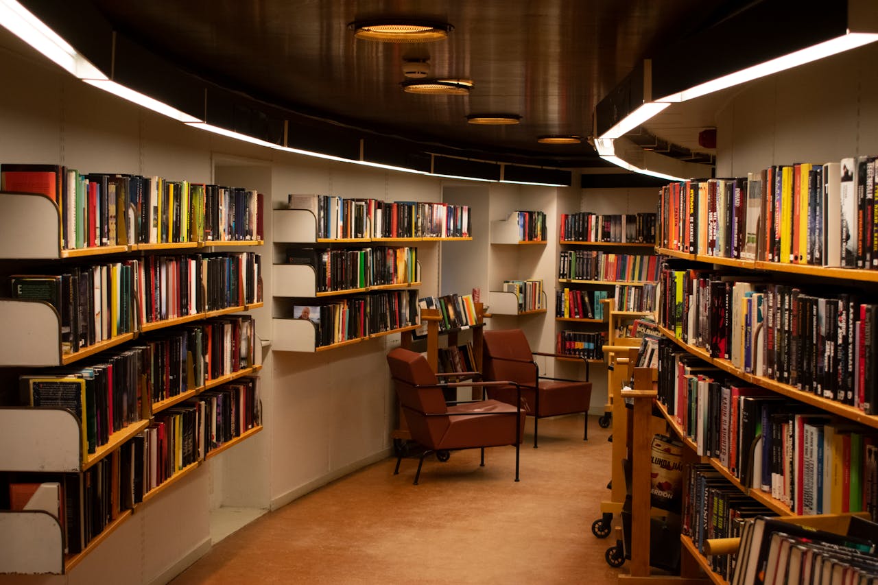 pexels-rafael-cosquiere-1059286-2041540 O czym pamiętać, gdy idziemy do biblioteki