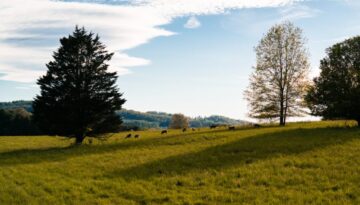 Gdzie szukać książek na wakacje - przygotuj się do letniej lektury